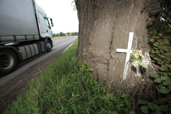 U tohoto rozložitého stromu u obce Hořín na Mělnicku chybí svodidla. A křížek dokazuje, že za to již někdo zaplatil životem.