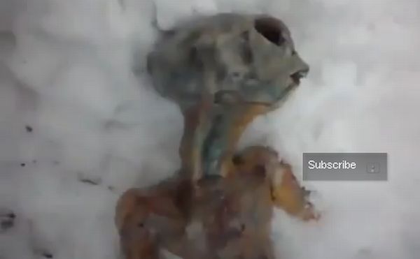 Rus se přiznal, že tělo mimozemšťana vyrobil z kuřecích kůží a chleba.