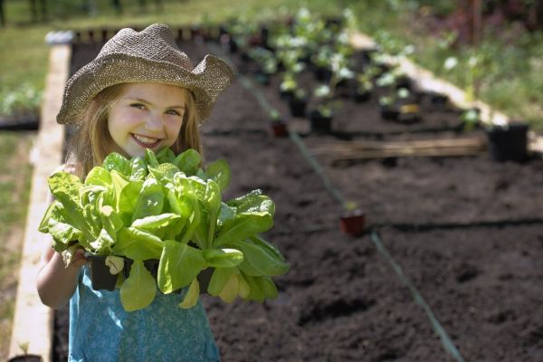Pesticidy, chemické látky používané v zemědělství, se negativně projevují zejména na zdraví dětí.