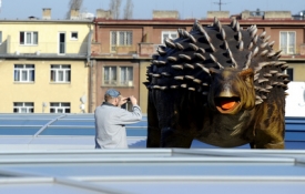Kdo to běží po střeše? (ilustrační foto)