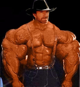 Chuck Norris jako hrdina tisíce a jednoho vtipu.
