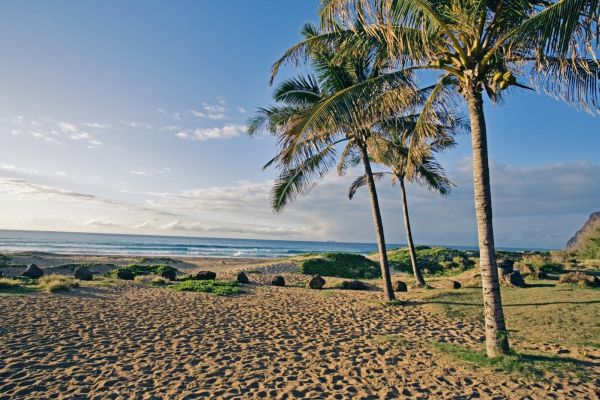 Kauai je jedním z havajských ostrovů. Kauai je jedním z havajských ostrovů.