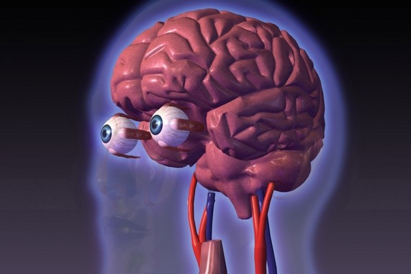 Lidské oči nejsou vůbec špatné, ale mozek jimi dodané informace dokáže zpracovat přímo geniálně.