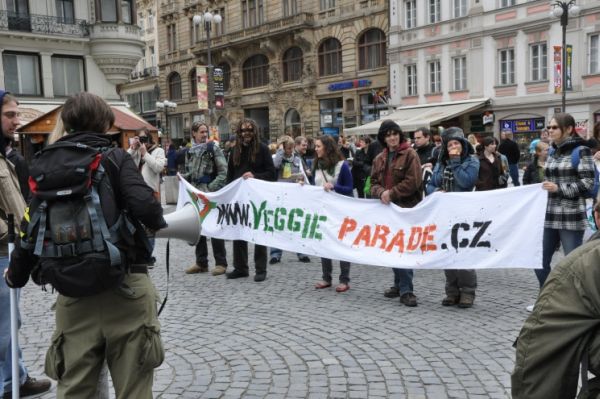 Záběr z loňského průvodu Veggie Parade.
