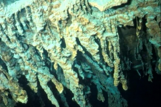 Halomonas titanicae. Halomonas titanicae.