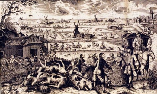 Mor skotu v Holandsku, 1745. Mor skotu v Holandsku, 1745.