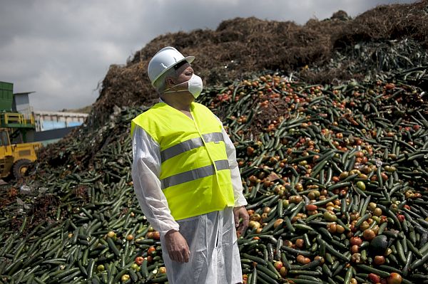 Španělští pěstitelé okurek přicházejí o ohromné tržby. Španělští pěstitelé okurek přicházejí o ohromné tržby.