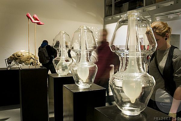 Pohled do expozice.