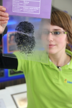 Výstava nabízí i řadu překvapení a zábavy.
