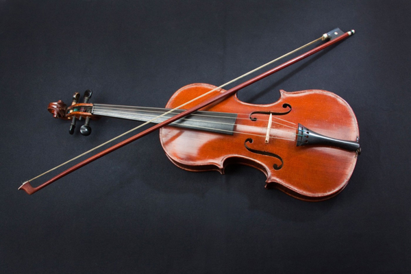 Aukční síň Tarisio se soustředí především na vzácné housle, např. značky Stradivari (ilustrační foto).