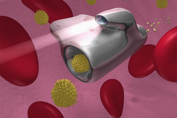 Nanotechnologie umožňují vyrobit dopravní prostředky pro rozvoz léků krevním řečištěm (ilustrační foto).