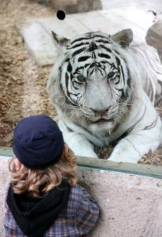 Vstup zdarma za vysvědčení nabízí i liberecká zoo.