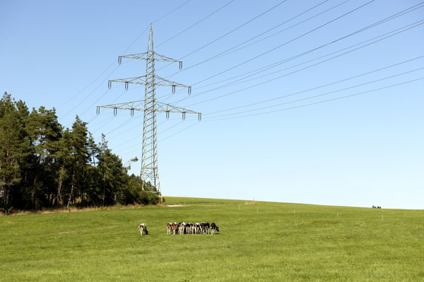 Boom slunečních elektráren může zdražit elektřinu o desetinu.
