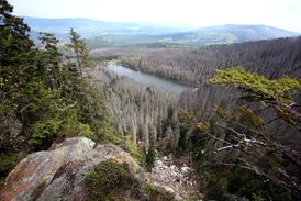 Plešné jezero.