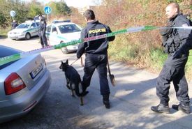 Desítky policistů, hasičů i kynologů pátrají po ztraceném bagristovi (ilustrační foto).