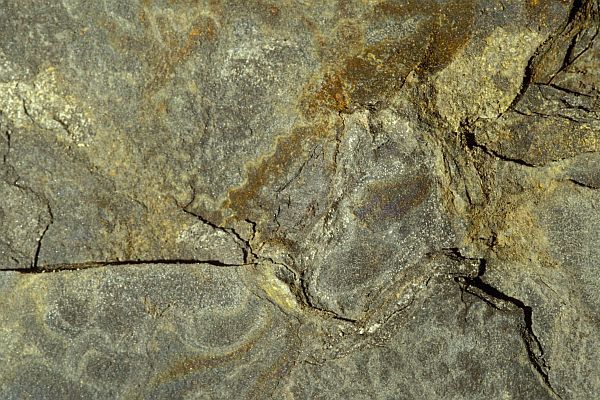 BHP zaplatil za Petrohawk více, než se čekalo. BHP zaplatil za Petrohawk více, než se čekalo.