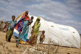 UNHCR chce urychleně letecky dopravit pomoc.