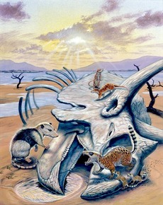 Malí primitivní savci hodují na mršině Triceratopa, jednoho z posledních dinosaurů na planetě (kromě ptáků).