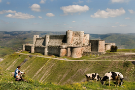 Nedaleko Homsu se nachází turisty vyhledávaný křižácký hrad Crac des Chevaliers.