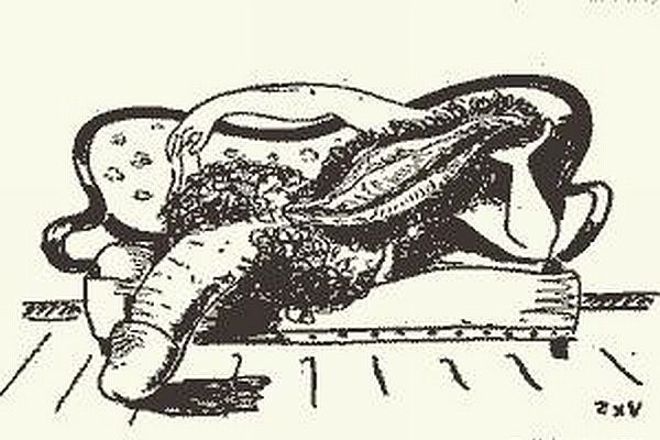 Jedna ze slavných ilustrací, ve své době mimořádně svobodomyslných. Jedna ze slavných ilustrací, ve své době mimořádně svobodomyslných.
