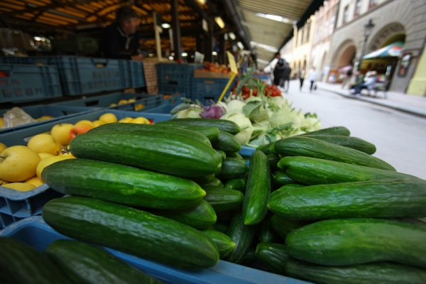Čeští zelináři dostanou kvůli bakterii šest milionů korun (ilustrační foto).