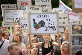Záběr do davu odpůrců kácení na Šumavě.