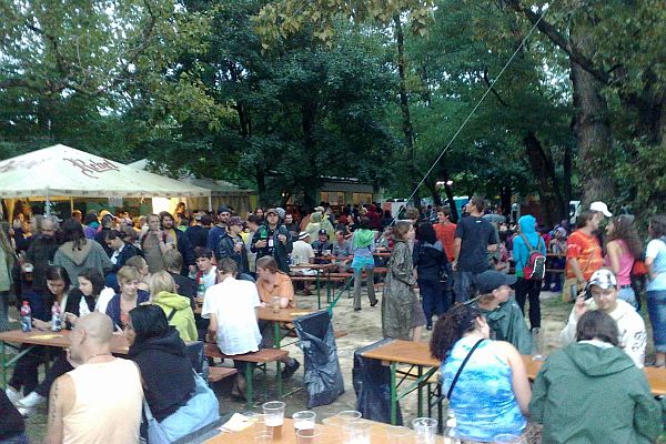 Beseda u bigbítu se odehrává na okraji topolového hájku.