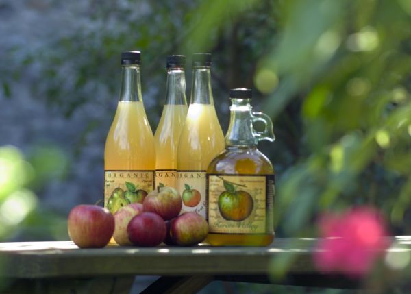 Obliba jablečného cideru v Česku roste.