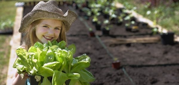 Skryté pesticidy jsou stále problém (ilustrační foto). Skryté pesticidy jsou stále problém (ilustrační foto).