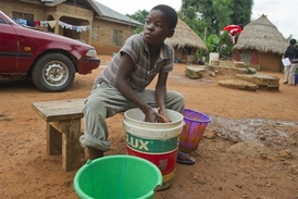 Testovací opička? Farmaceuti zkoušejí v Africe leccos (ilustrační foto).