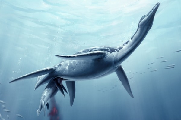 Událost stará 78 milionů let: samice plesiosaura druhu Polycotylus latippinus rodí živé mládě.