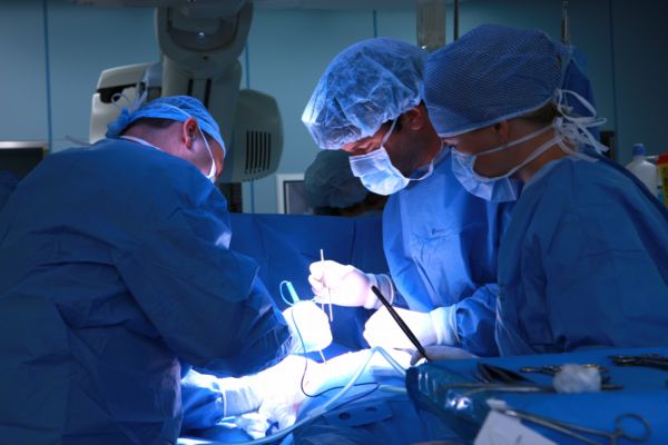 Operace srdce v pražském Institutu klinické a experimentální medicíny.