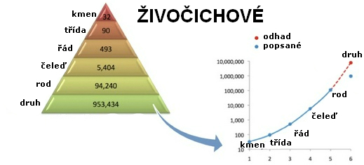 Nová metoda odhaduje počet druhů z počtu vyšších taxonomických skupin.