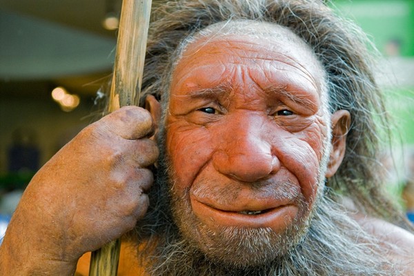 Neandertálské geny pomohly formovat náš imunitní systém.