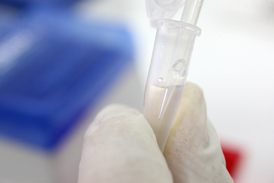 Zákon nyní poškozuje muže, kteří se po uplynutí půlroční lhůty dozvědí, že nejsou biologickými otci dítěte. U soudu jim dosud nepomohl ani rozbor DNA.