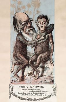 Copak člověk nepochází z opice? Darwin a ...