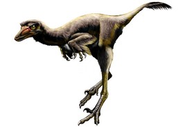Talos sampsoni dovedl rychle utíkat po zadních končetinách. Zřejmě byl dravý.