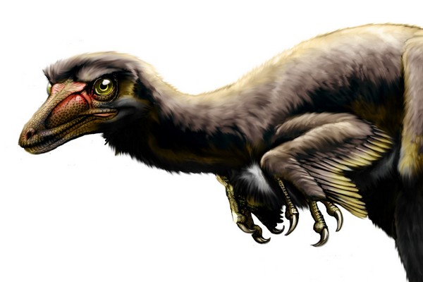 Talos sampsoni byl mohutnější než jemu blízce příbuzný Velociraptor.