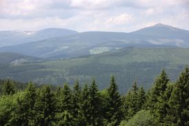 Na Sněžku ročně vyjede lanovkou kolem 100 tisíc turistů.