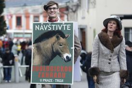 Zaměstnanci zoo v dobových kostýmech zaplní celý areál.