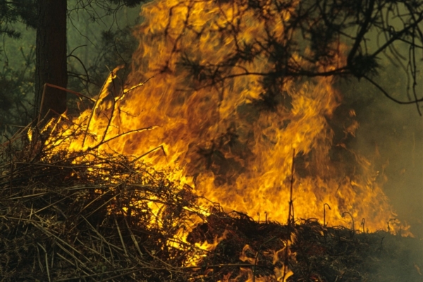 Požár (ilustrační foto).