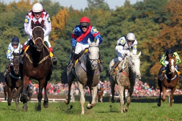 Velká pardubická se odehraje tuto neděli.