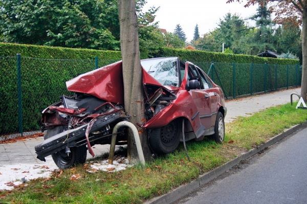 Spolujezdec zemřel poté, co auto narazilo do stromu (ilustrační foto).