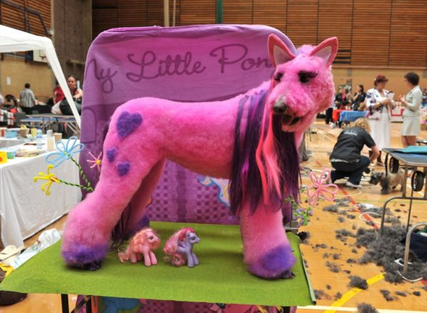 Psí verze My Little Pony. Psí verze My Little Pony.