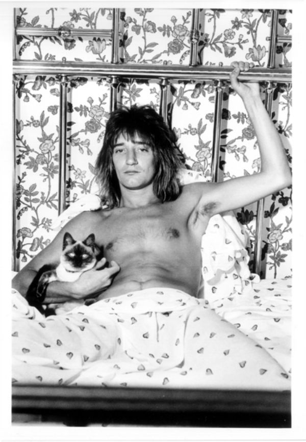 Zpěvák Rod Stewart.