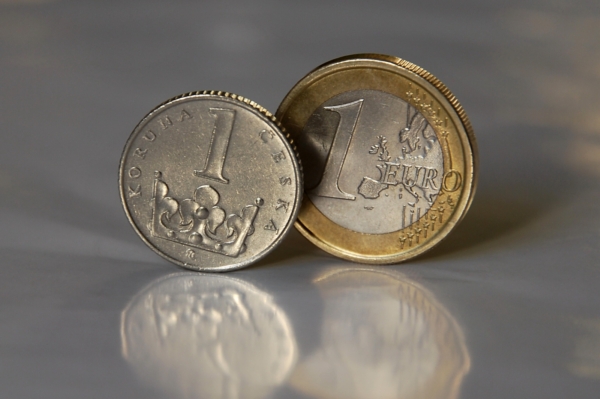 O případném přijetí eura by mělo v ČR rozhodnout referendum.