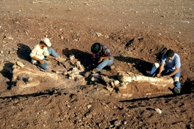 Práci paleontologa v terénu nic nenahradí, ale počítač mu může poradit, kde hledat.