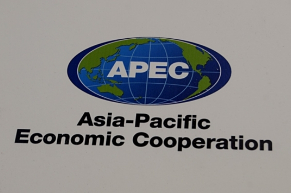 Organizace APEC vznikla v roce 1989, původně jako fórum pro aktivizaci obchodní a ekonomické spolupráce asijských a tichomořských států.