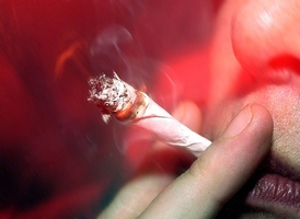 Joint (ilustrační foto).