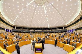 Stát se europoslancem... Odtud pod most cesta nevede.
